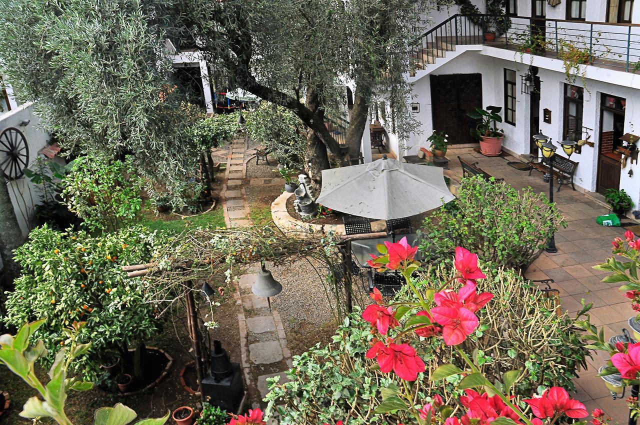 Viejo Olivo B&B سوكر المظهر الخارجي الصورة
