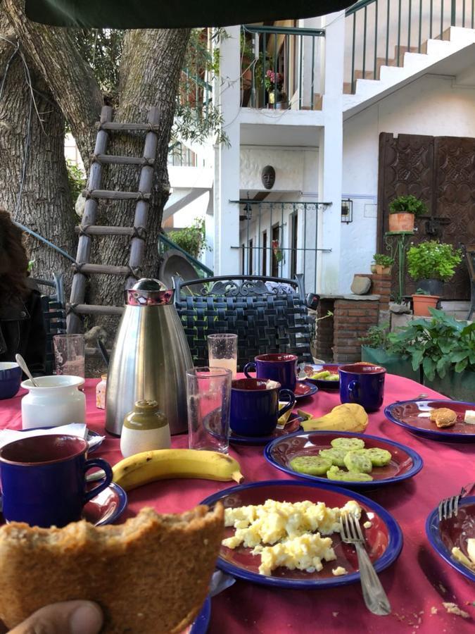 Viejo Olivo B&B سوكر المظهر الخارجي الصورة